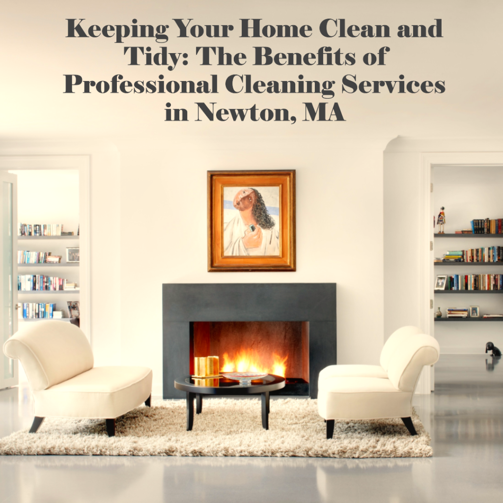 cleaning newton ma