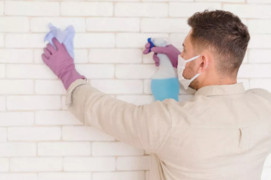 Clean Flat Paint Walls Without Damaging
